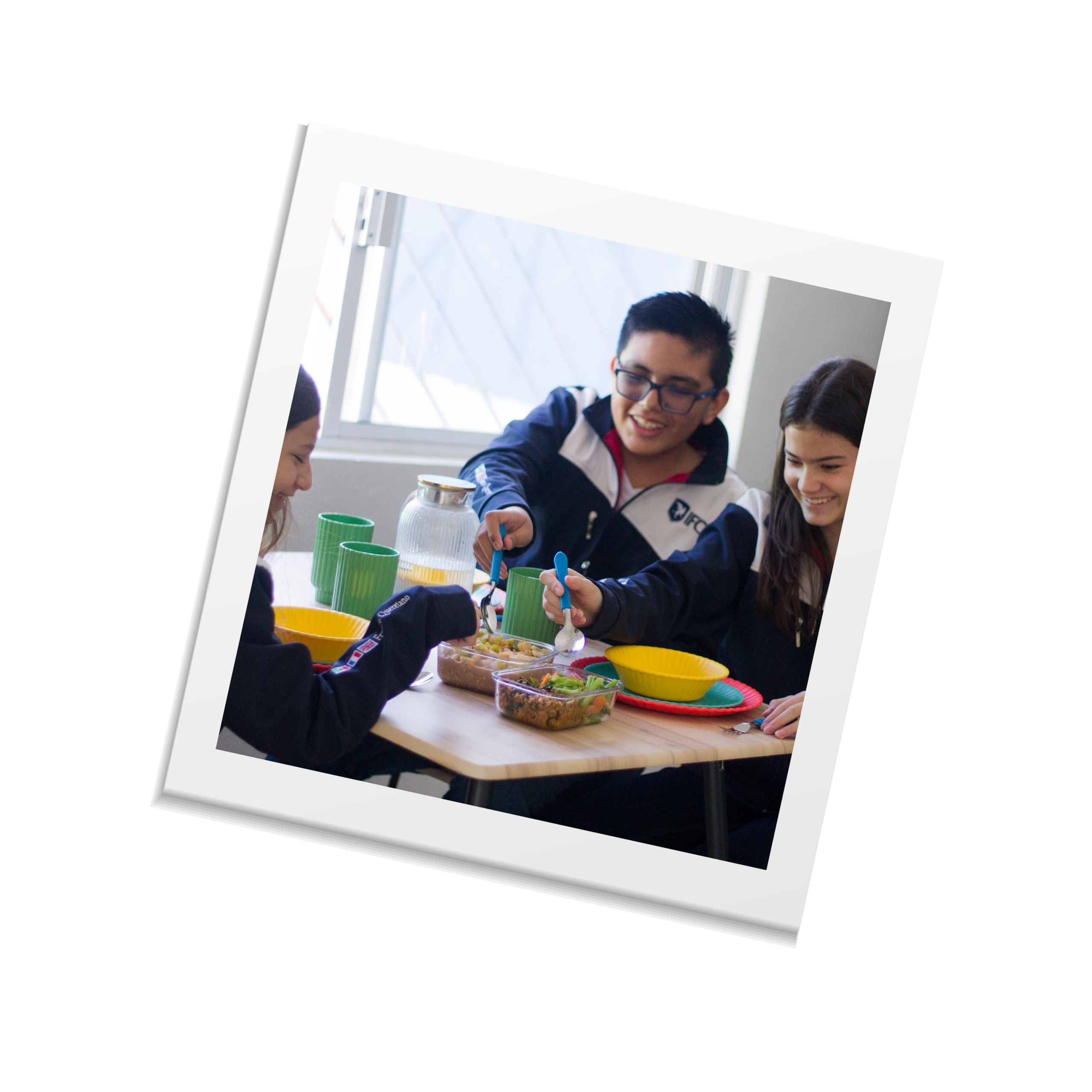 Alimentos nutritivos y balanceados